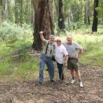 Myrtleford - Avventura con il 4x4 sul mt. buffalo national park.